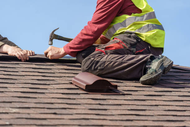 Roof Gutter Cleaning in North Chicago, IL