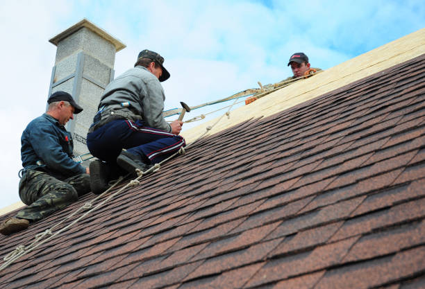 Best Shingle Roofing Installation  in North Chicago, IL